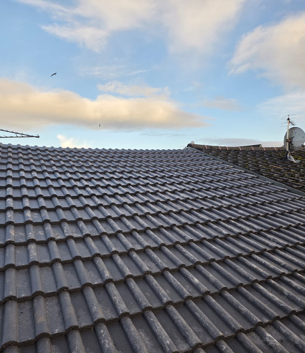 Finished tiled roof by Thistle Roofing and Building